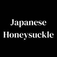 JAPANESE HONEYSUCKLE - The Melt House